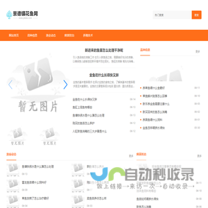 景德镇花鱼网