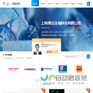 小动物脑部核磁MRI扫描-心脏CT-小动物超声扫描-上海博谷生物科技有限公司